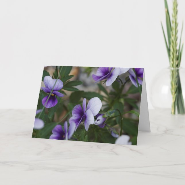 Tarjeta Violets (Anverso)