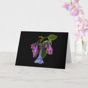 Tarjeta Virginia Bluebells Wildflower
