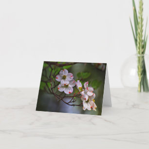 Tarjeta Virginia Dogwood