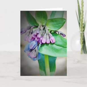 Tarjeta Virginina Bluebells