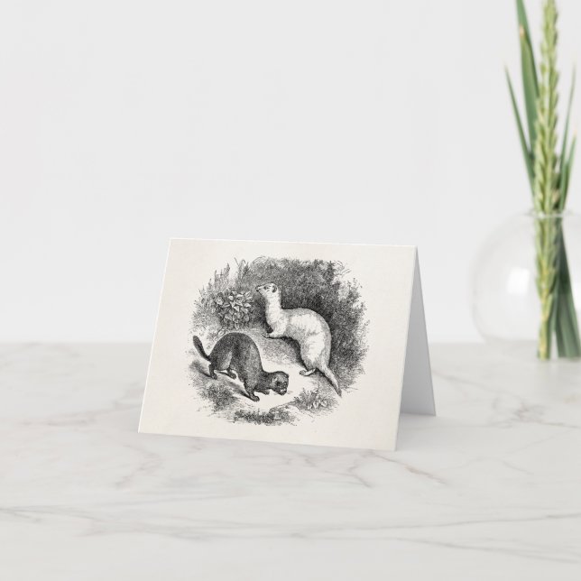 Tarjeta Visiones de las comadrejas de los hurónes de los (Anverso)