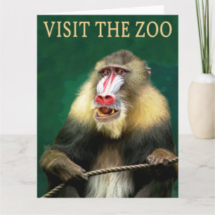 Tarjeta Visita al mandril en el zoológico