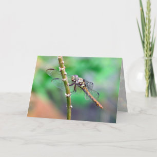 Tarjeta Visitado por un dragón