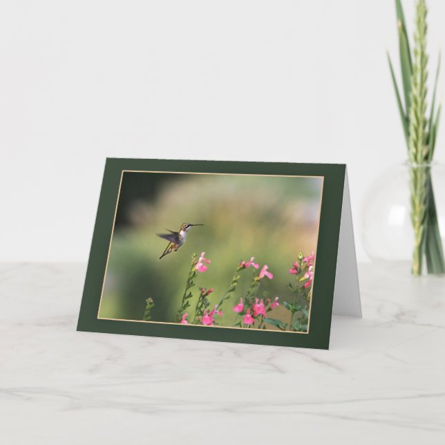 Tarjeta Visitante de jardines (Anverso)