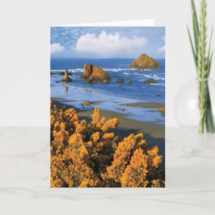 Tarjeta Vista A La Playa De Oregón En Bandon