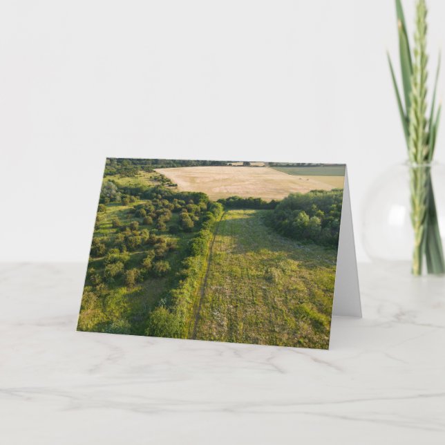 Tarjeta Vista aérea del campo inglés (Anverso)