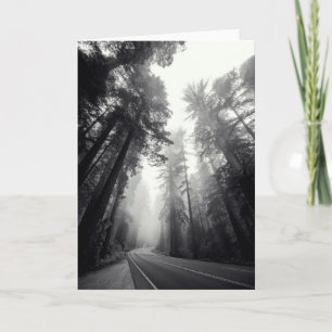 Tarjeta Vista de los árboles de la secoya en bosque