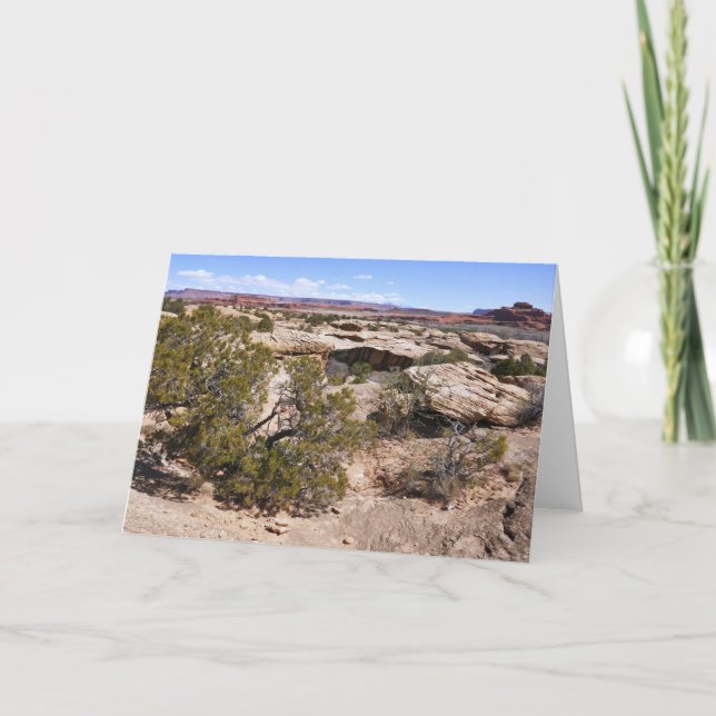 Tarjeta Vista de los cañones desde el sendero Cave Springs (Anverso)