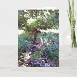 Tarjeta Vista desde el sendero Hart's Cove Trail, Costa de