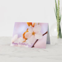 Vista Frontal De La Flor De Sakura En La Temporada