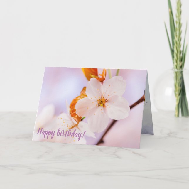 Tarjeta Vista Frontal De La Flor De Sakura En La Temporada (Anverso)