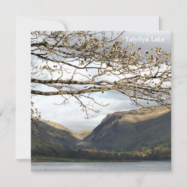 TARJETA VISTAS DE GALES (Anverso)