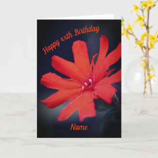 Tarjeta Vivid Naranja Daisy Flower Cumpleaños Personalizad