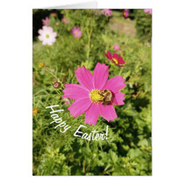 Tarjeta Vivid Pink Cosmos Flower Easter