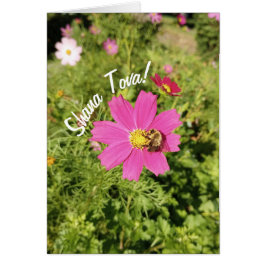 Tarjeta Vivid Pink Cosmos Flower Rosh Hashanah