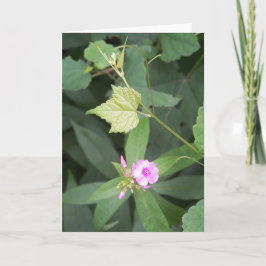 Tarjeta Vivir simple... ¿No es simple cita de las flores?