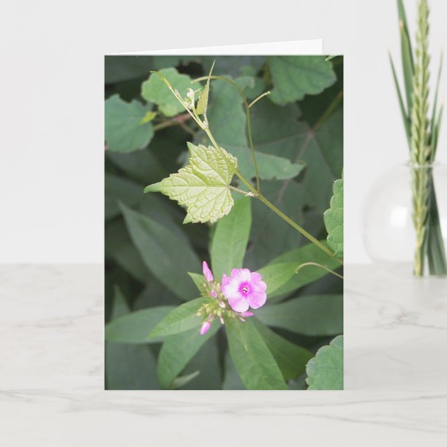 Tarjeta Vivir simple... ¿No es simple cita de las flores? (Anverso)