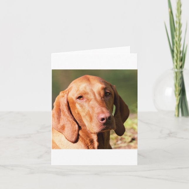 Tarjeta vizsla (Anverso)