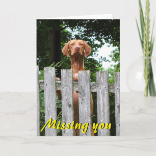 Tarjeta Vizsla "que le falta" carda