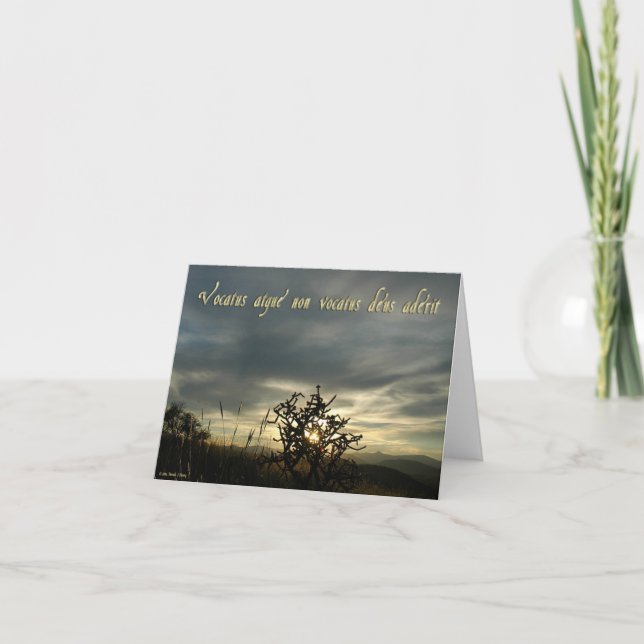 TARJETA VOCACTUS (Anverso)