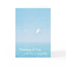 Volando de aves oceánicas de Hawaii