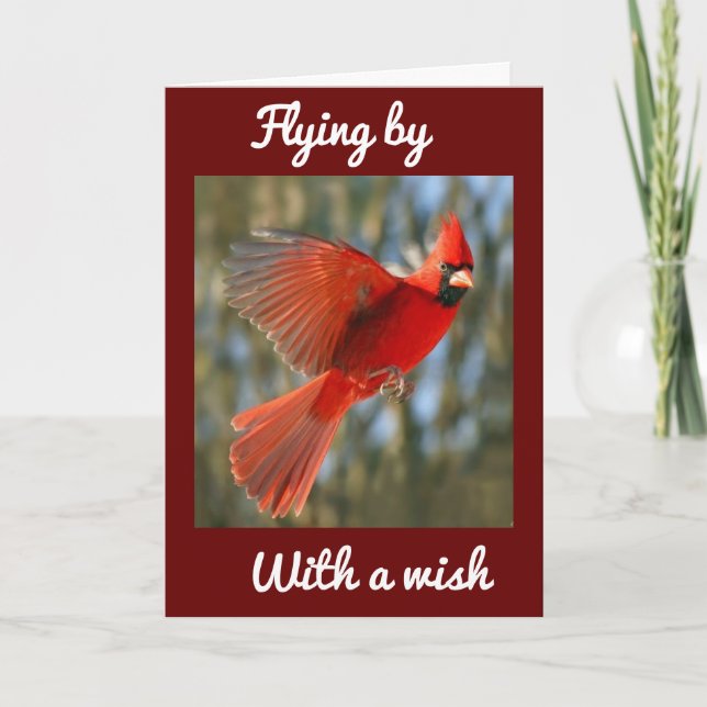 TARJETA **VOLANDO PARA DECIR** CUMPLEAÑOS *MEJOR DE TODOS* (Anverso)