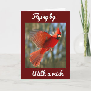 TARJETA **VOLANDO PARA DECIR** CUMPLEAÑOS *MEJOR QUE NUNCA