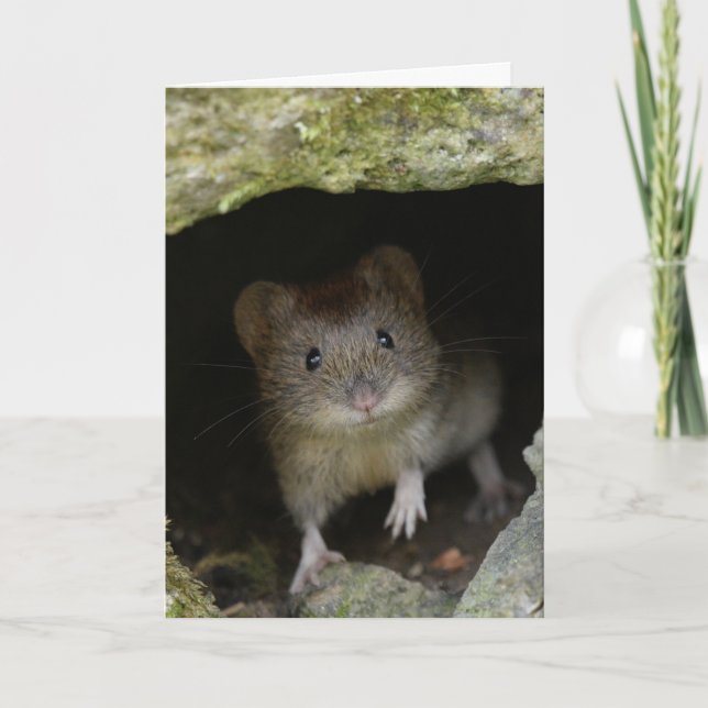 Tarjeta Volante bancario (Anverso)