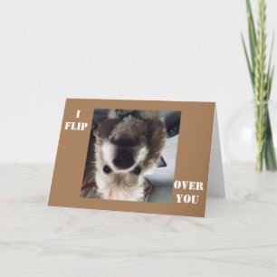 TARJETA *VOY SOBRE TI* EL CUMPLEAÑOS MUESTRAS CUÁNTO HAGO.