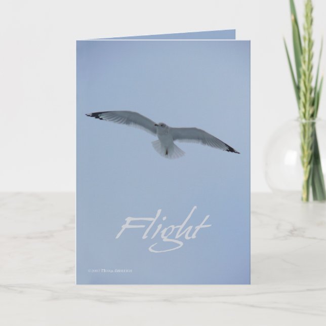 Tarjeta Vuelo de la gaviota (Anverso)