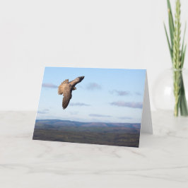 Tarjeta Vuelo del halcón