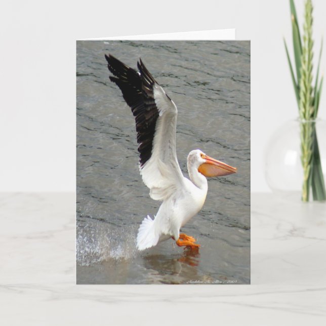 Tarjeta Vuelo del pelícano (Anverso)