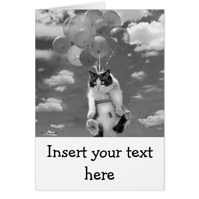 Tarjeta: Vuelo divertido del gato con los globos (Frente)