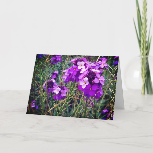 Tarjeta Wallflower Bowles Mauve #1 (Anverso)