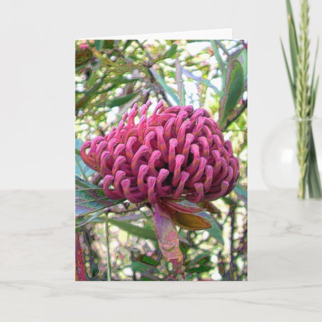 Tarjeta waratah (Anverso)
