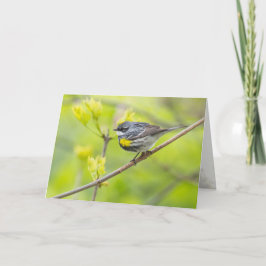 Tarjeta Warbler