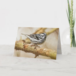 Tarjeta Warbler negro y blanco