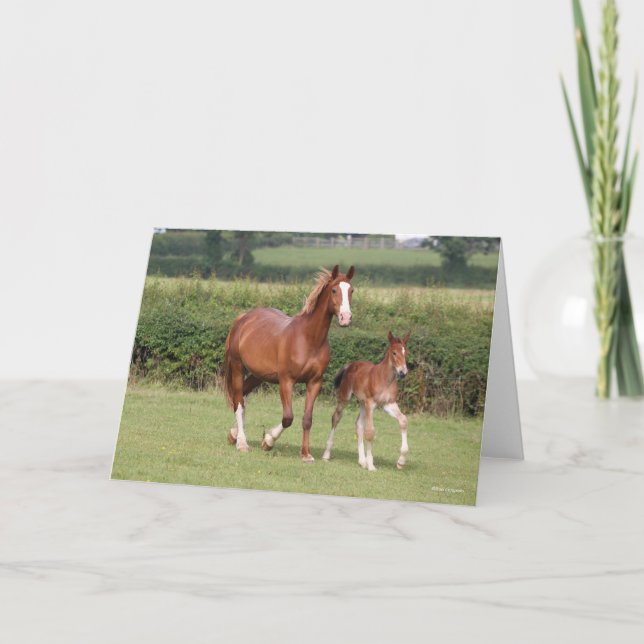 Tarjeta Warmblood Mare y Foal Caminando juntos (Anverso)