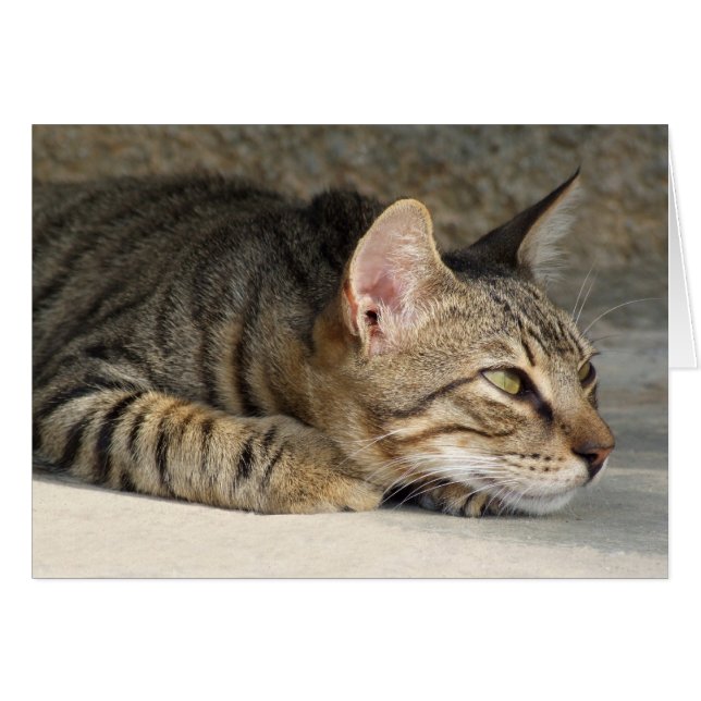 Tarjeta Warren Thought (Anverso (Horizontal))