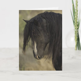 Tarjeta Washakie en Dawn Wilse Horse Greeting Card