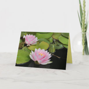 Tarjeta Water Lillies
