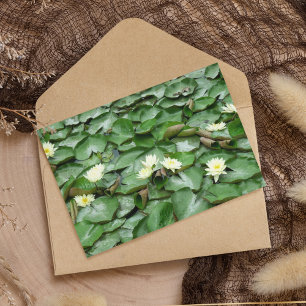 Tarjeta Water Lillies