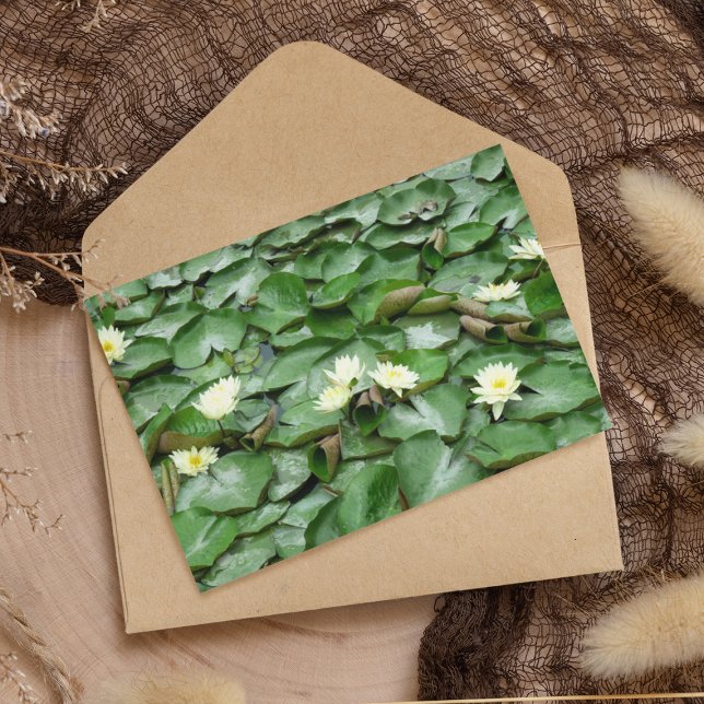 Tarjeta Water Lillies (Subido por el creador)