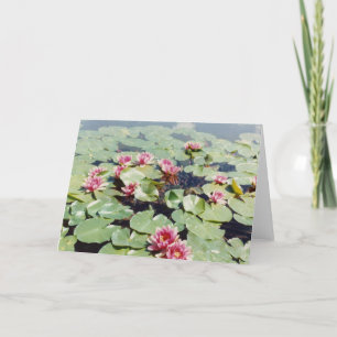 Tarjeta Water Lillies 01