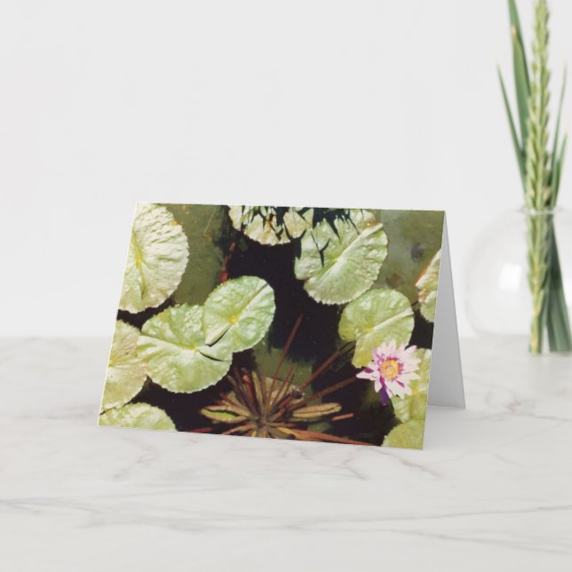 Tarjeta Water Lillies 02 (Anverso)