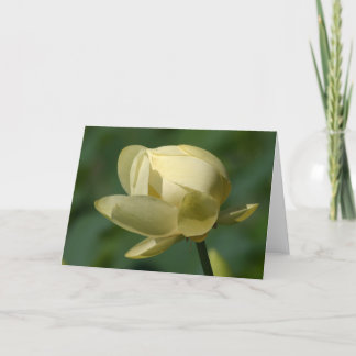Tarjeta Water Lilly Lotus