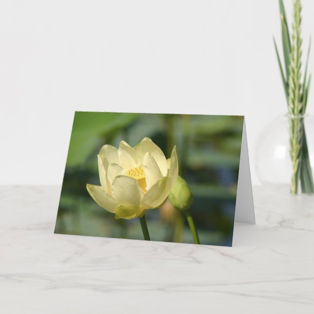 Tarjeta Water Lilly Lotus (Anverso)