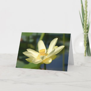 Tarjeta Water Lilly Lotus