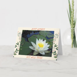 Tarjeta Water Lily se pone bien