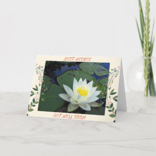 Tarjeta Water Lily se pone bien